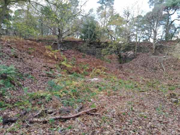 This is what the quarry site looked like prior to the Roundhouse Project. The photo is taken from almost the same position as the first photo on this page.