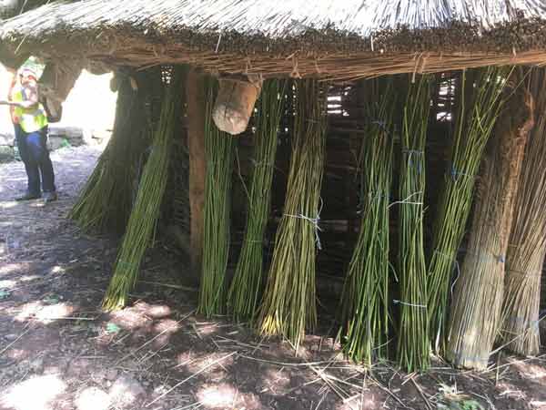 Some of the bracken harvest for use on the annexe roof.