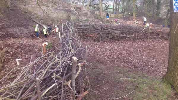 About 120m of Dead Hedge created to protect the site and to try and avoid visitors falling down the many (14) Post Holes, which are at least 1.5m deep.