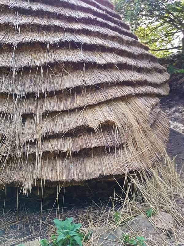 No, its not a good idea to free climb on a thatched roof!