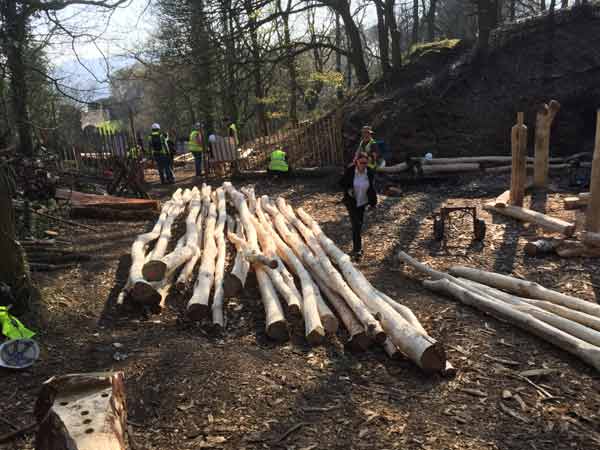 The Ash Poles are now a Roof Kit, waiting to be assembled.