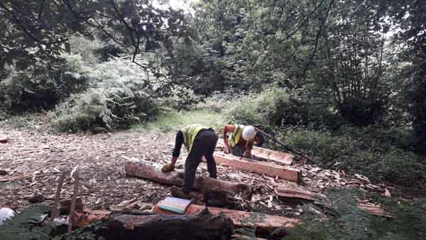 I also noted that the Larch Logs have been given some focus and a team began splitting them with a view to making planks ready to begin furniture projects.