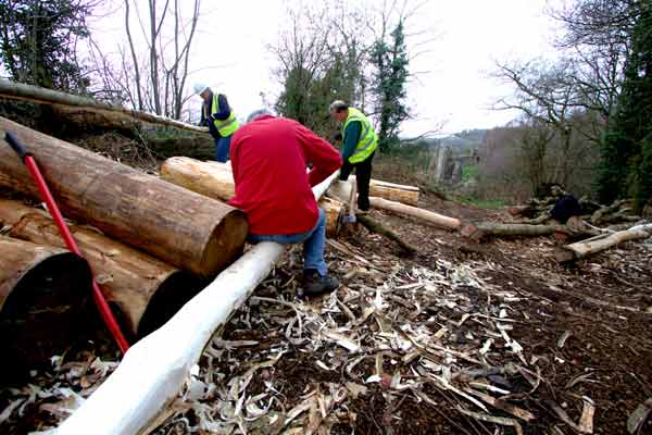 Striping bark is a never ending task.