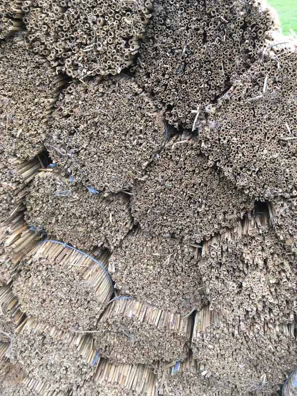 A more detailed view of our water reed thatching material.