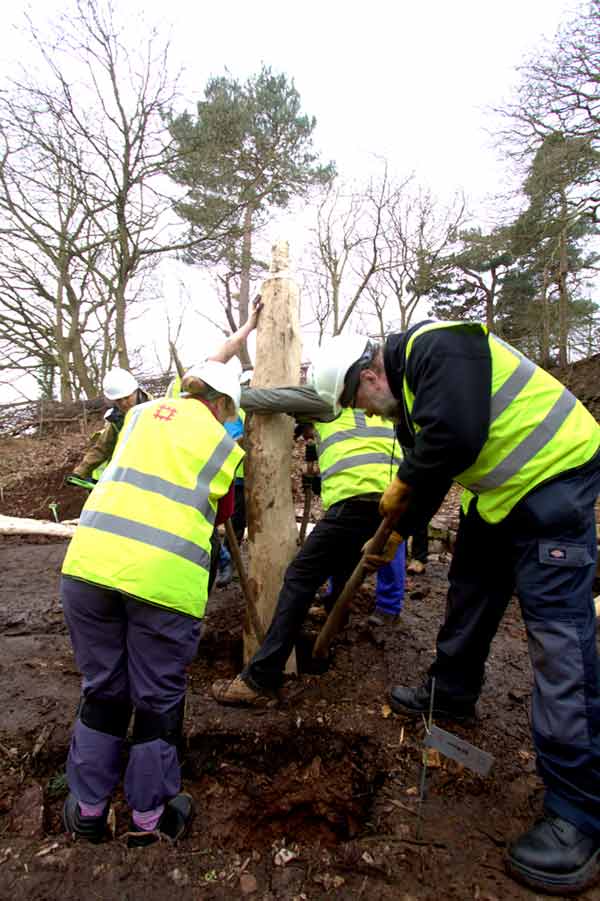 Space is tight when holding up a wall post and others are tamping the post hole in-fill to consolidate the erection. #trusting