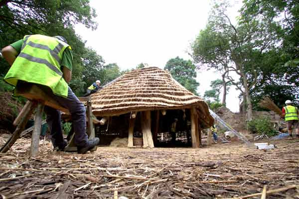 The work on the roof with the thatching continues.