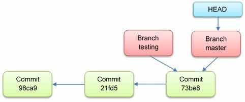 Two branches pointing into the same series of commits.